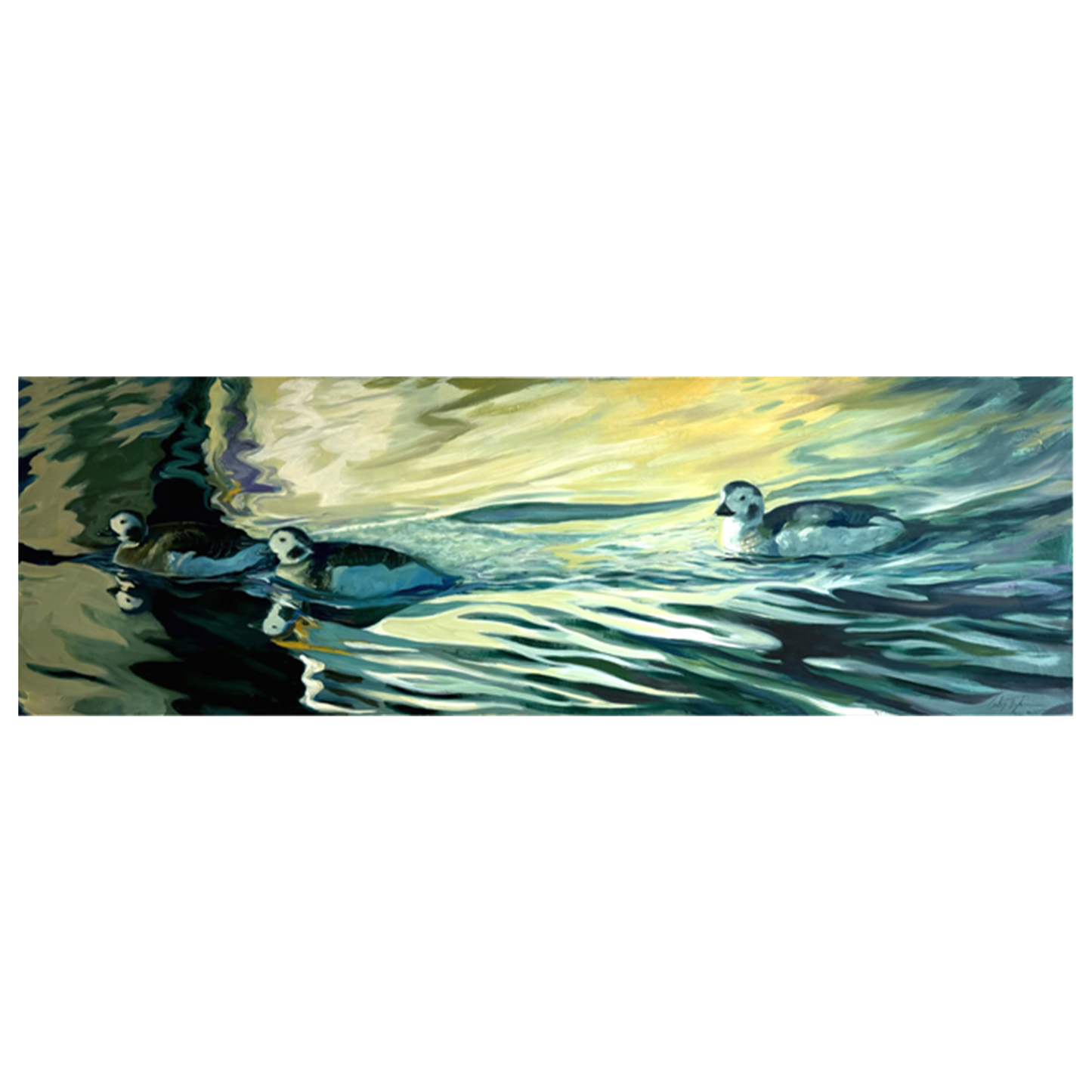 3 Long Tailed Ducks by Carlos Taylor