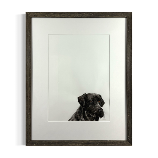 Black Labrador by Naoimh O'Shea