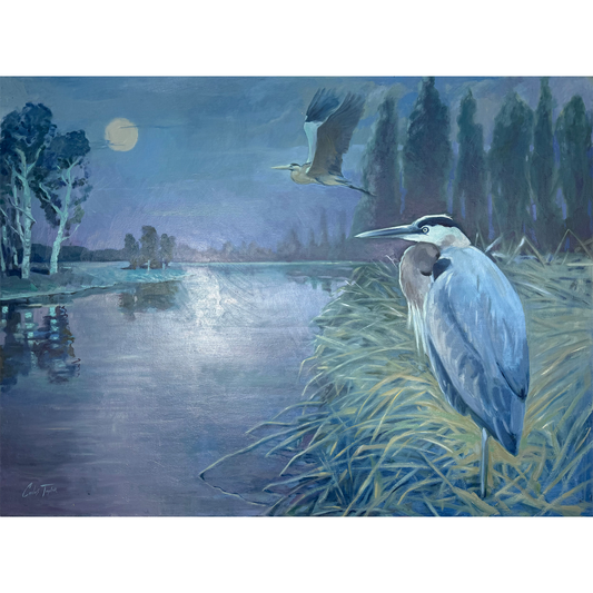 Night Flight by Carlos Taylor