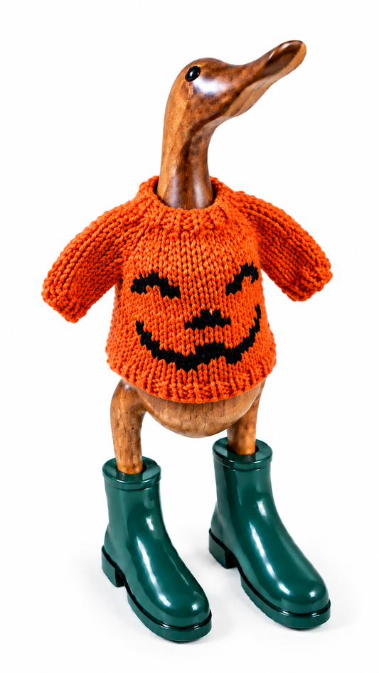 Hand Knit Pumpkin Duck Sweater