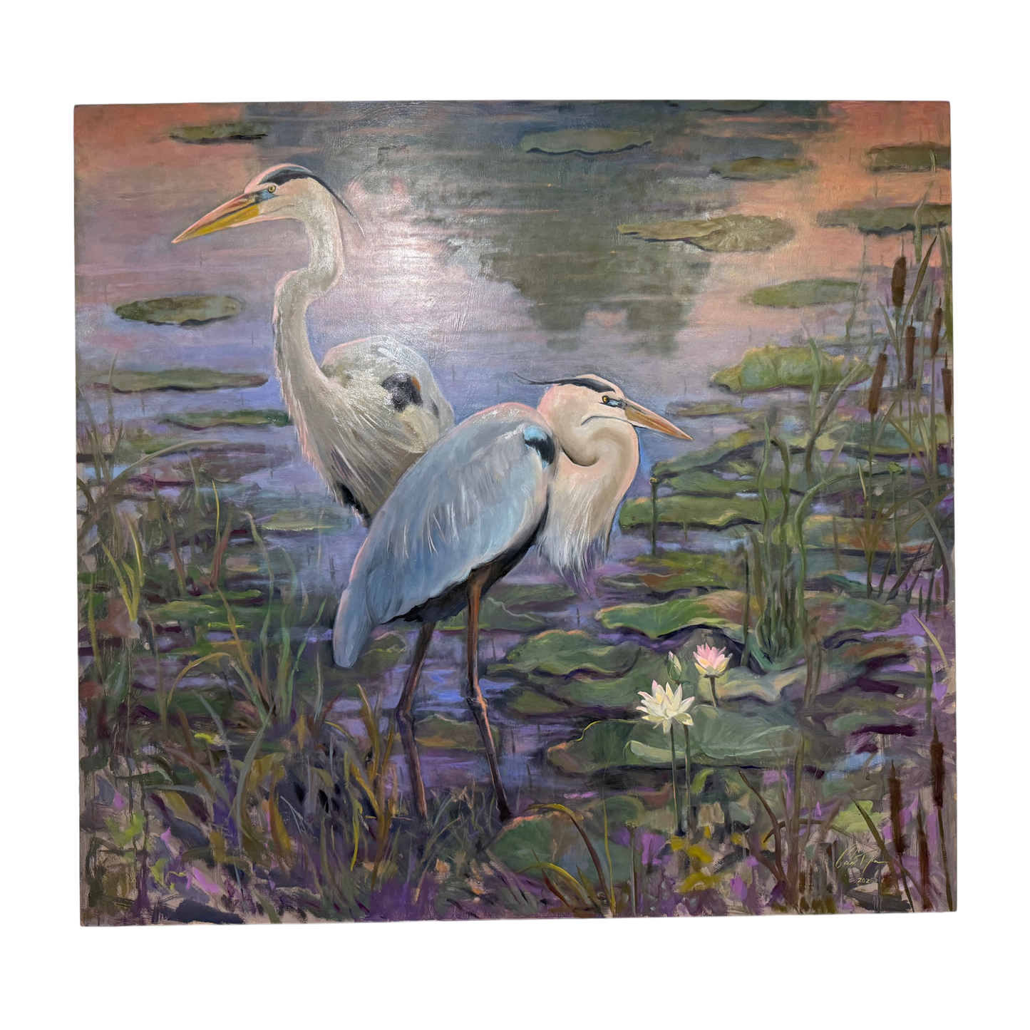 Herons at Dusk by Carlos Taylor