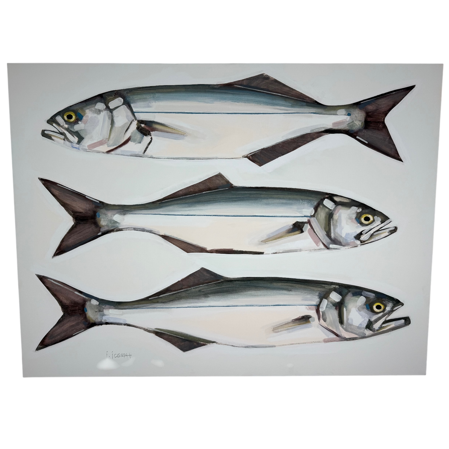 Three Bluefish by Jeremy Joseph