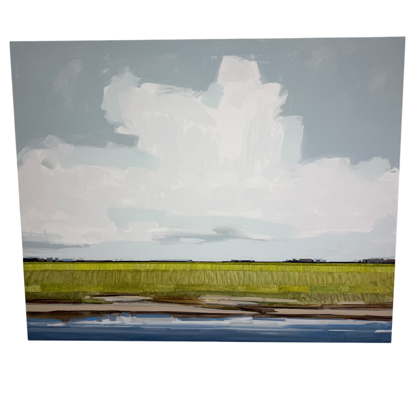 Eastern Shore Saltmarsh by Jeremy Joseph