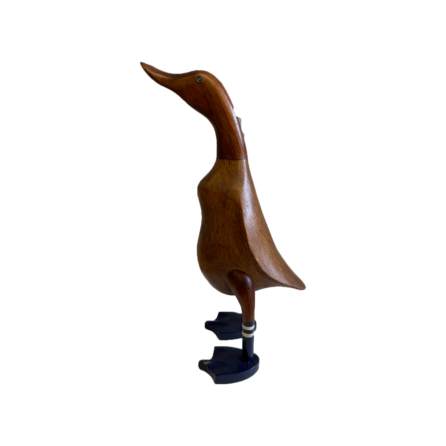 Murphy – Medium Navy Webbed Duck | American Holiday