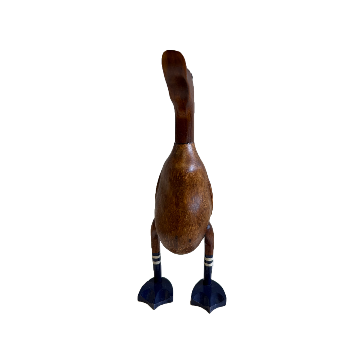 Murphy – Medium Navy Webbed Duck | American Holiday
