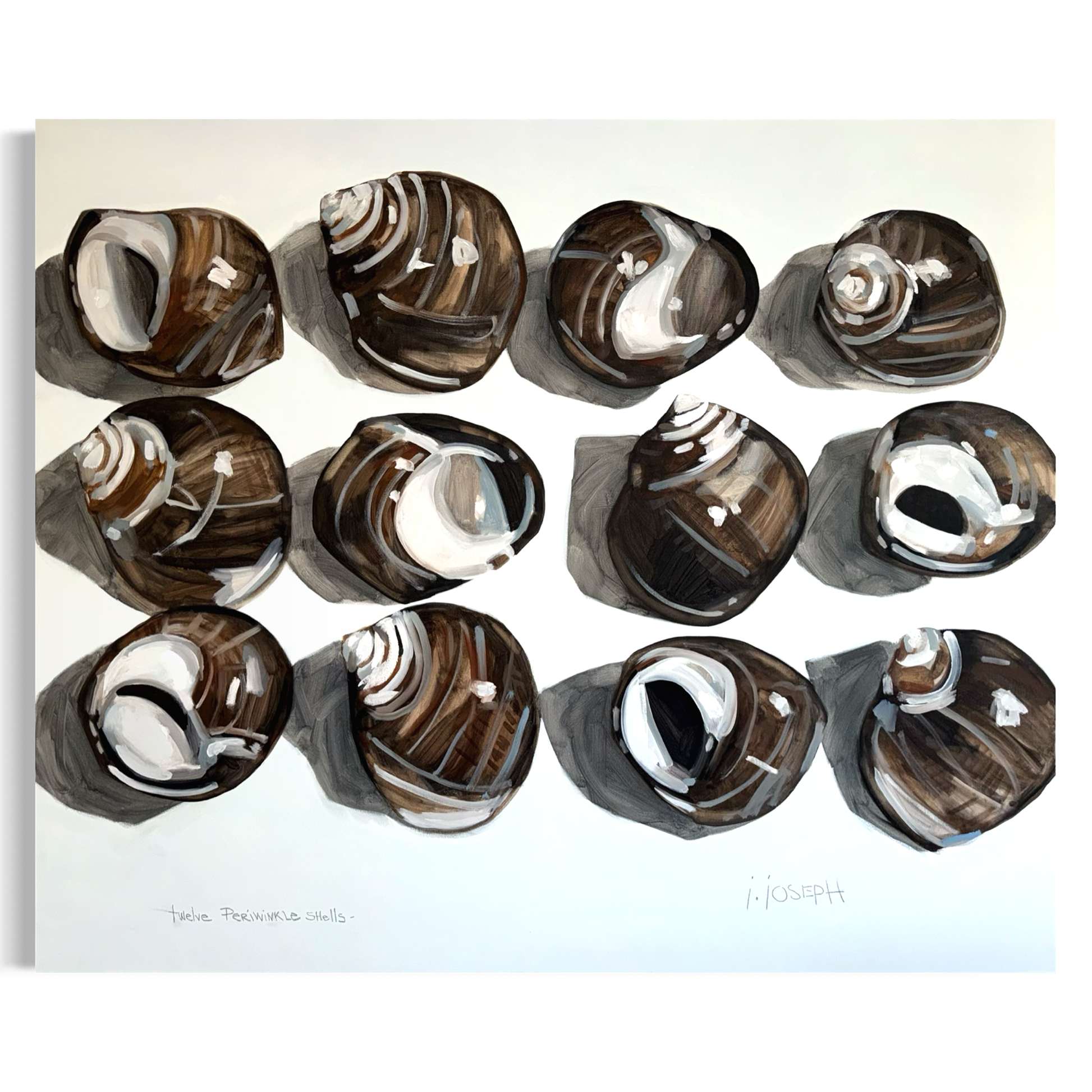 Twelve periwinkle shells arranged in a cluster, featuring smooth, rounded shapes and soft blue hues, by Jeremy Joseph for COLLAB BY AMERICAN/HOLIDAY™