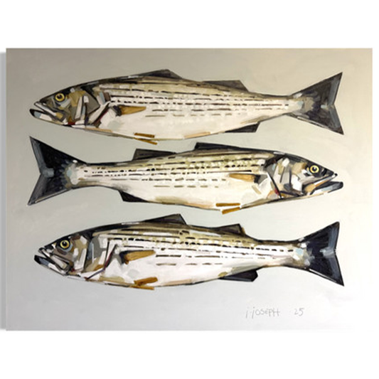 Three Stripers by Jeremy Joseph