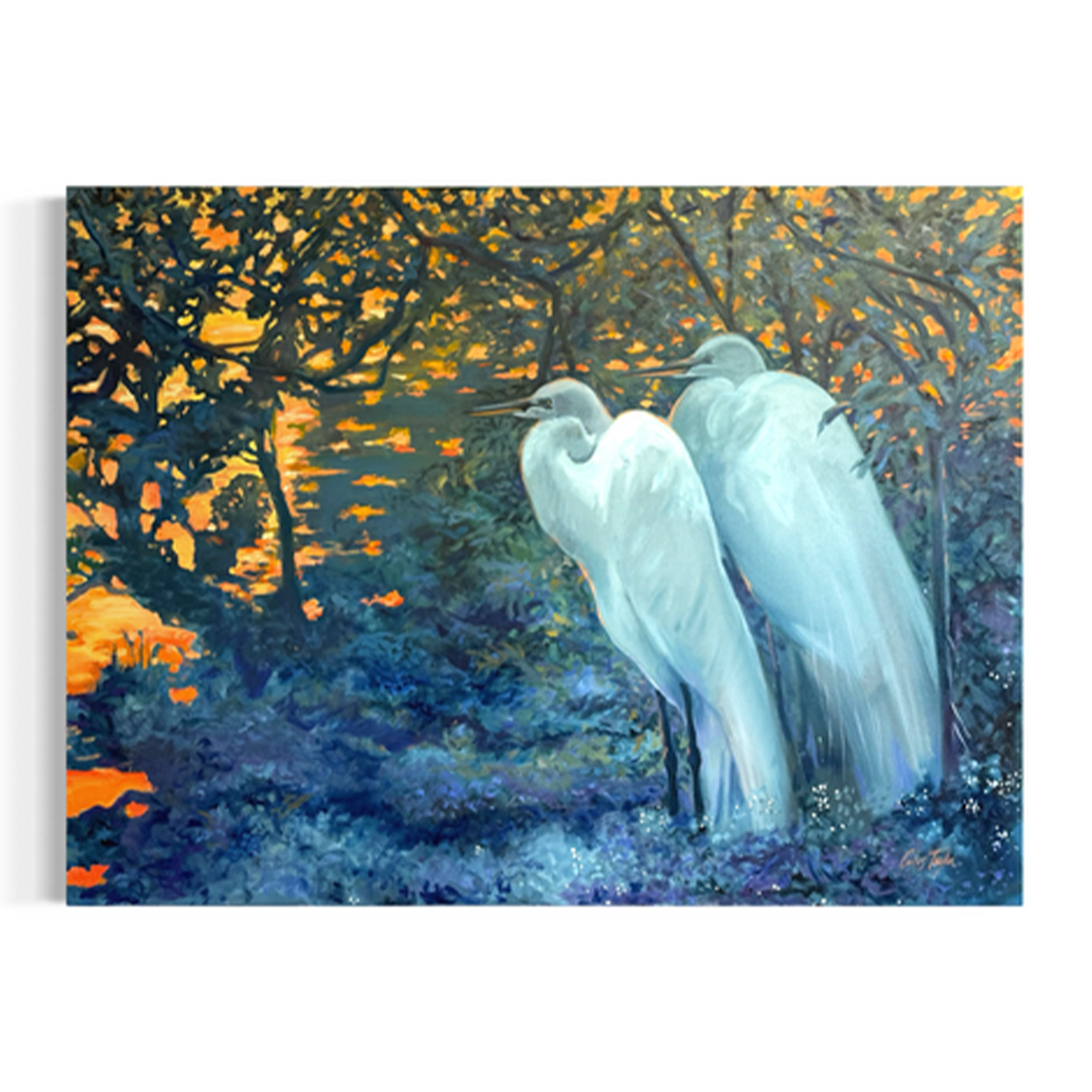 Sunset on the Bay by Carlos Taylor