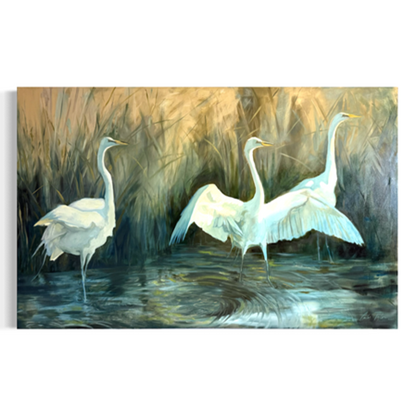 Birds of the Bay by Carlos Taylor