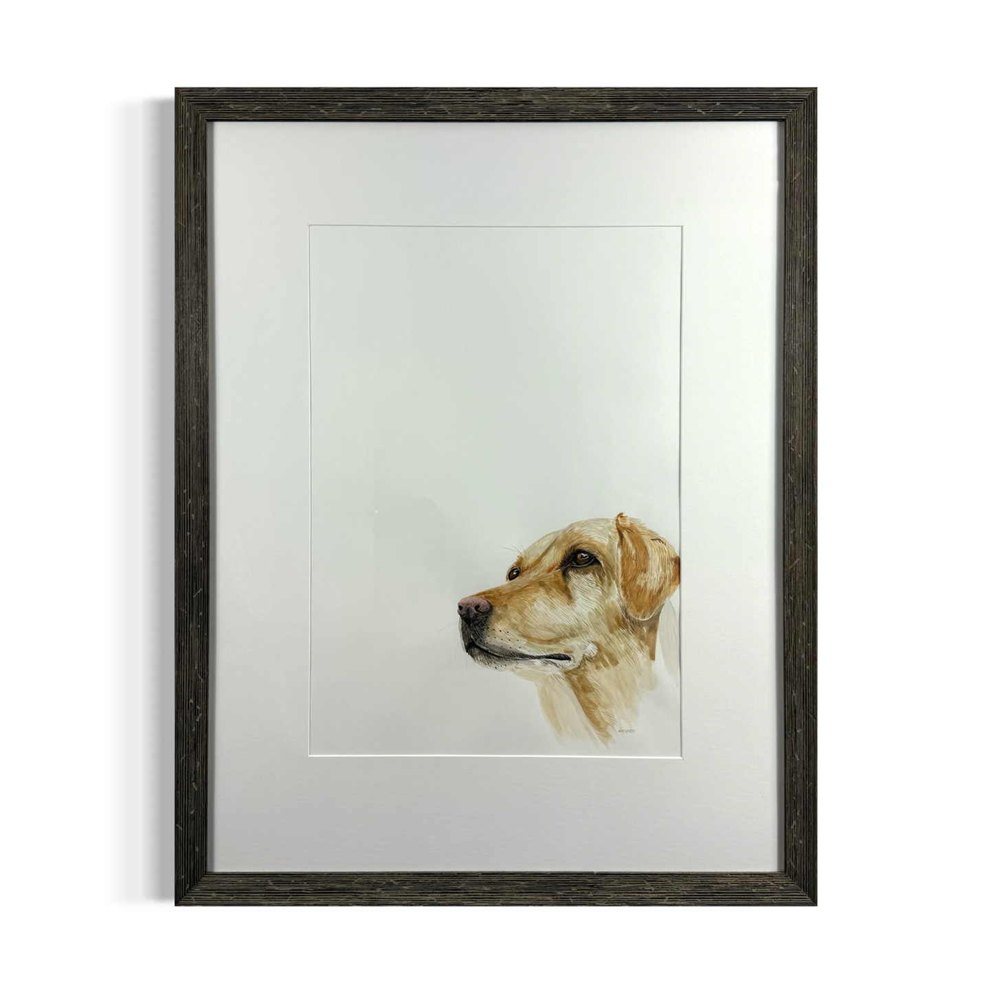 Yellow Labrador by Naoimh O'Shea